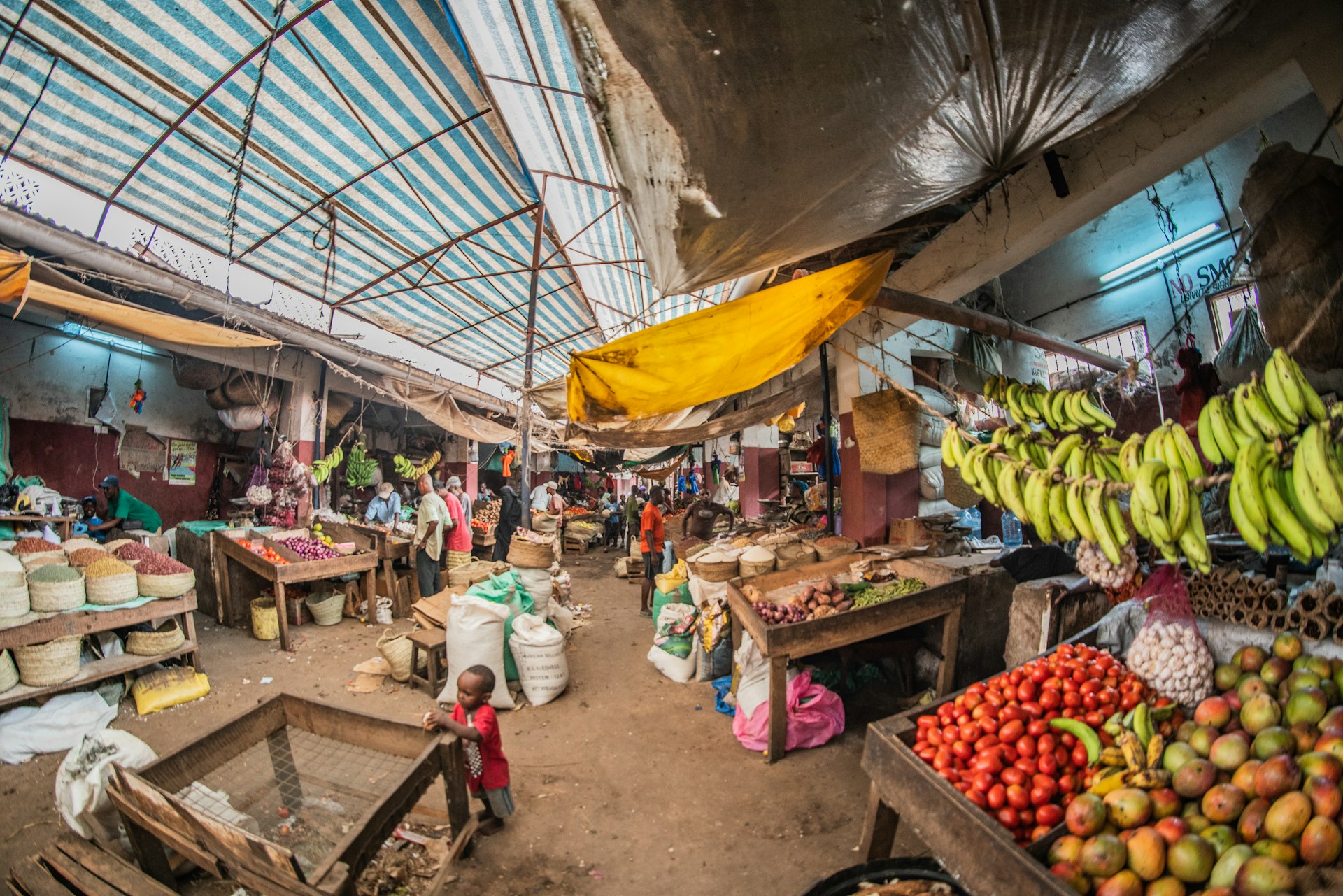 assorted fruits on display in market